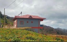 Koci Otel